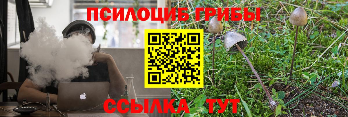 Галлюциногенные грибы GOLDEN TEACHER Тверь